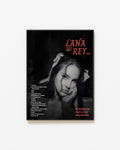 Lana Del Rey Vintage Aesthetic Canvas Poster | Retro Coquette Room Decor poster wall art print room decor