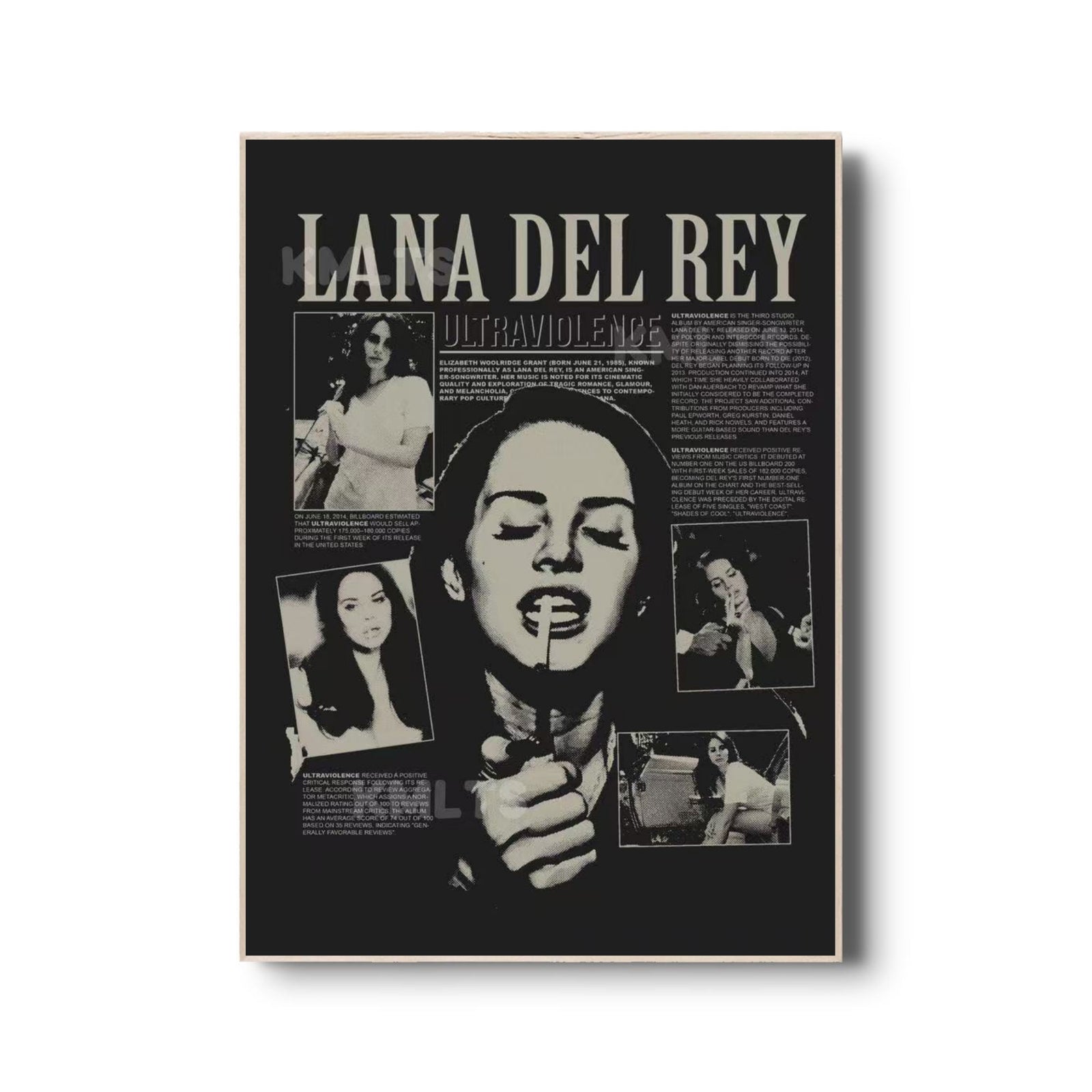 Lana Del Rey Vintage Aesthetic Canvas  | Retro Coquette Room Decor album cover poster print wall art decor