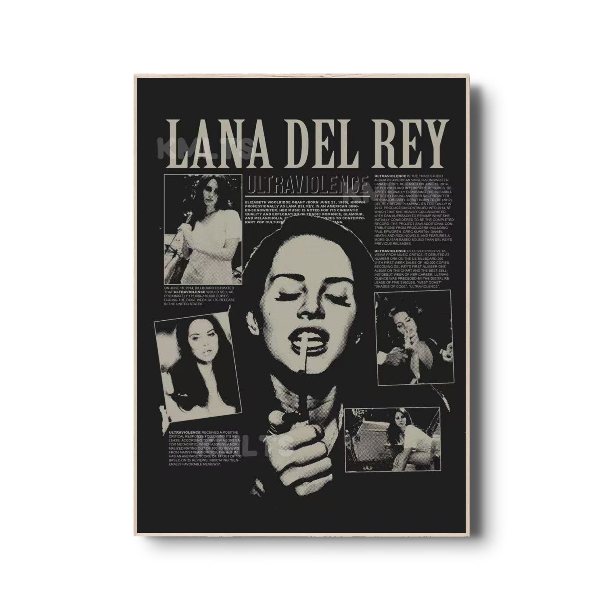 Lana Del Rey Vintage Aesthetic Canvas Poster | Retro Coquette Room Decor poster wall art print room decor