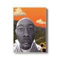 Tyler, The Creator Flower Boy Album Inspired Wall Art, Orange Sky Sunflower Surreal Portrait Poster poster wall art print room decor