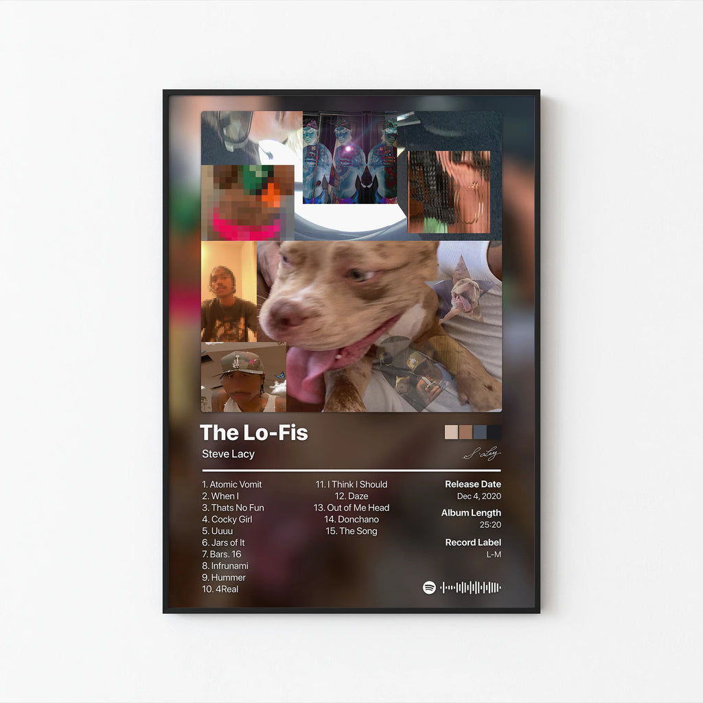 Steve Lacy The Lo-Fis Tracklist  | Unframed Bedroom Wall Art album cover poster print wall art decor