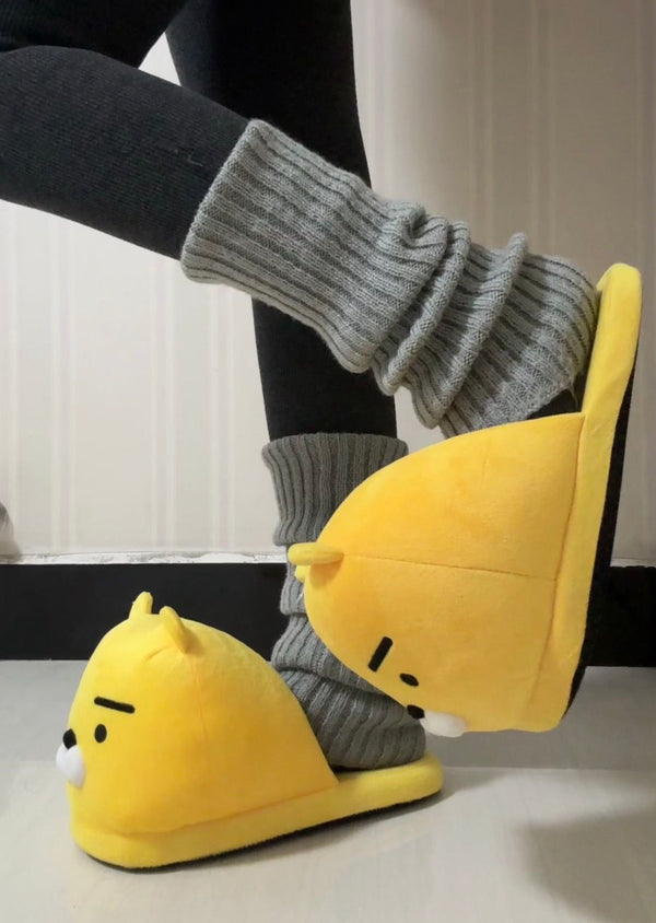 박 씨