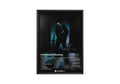 Post Malone Hollywoods Bleeding Album Poster poster wall art print room decor
