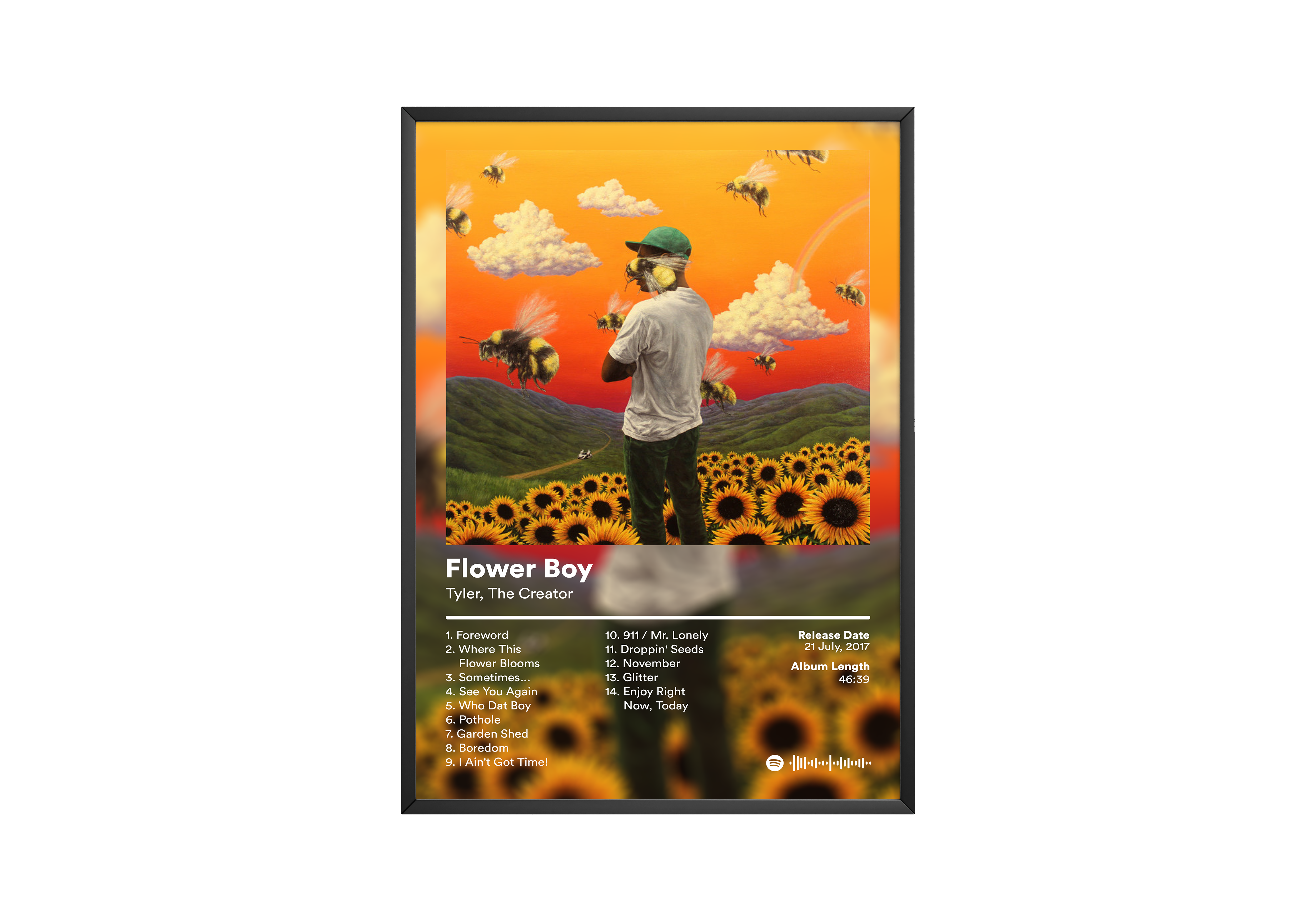 Tyler The Creator Flower Boy Album poster wall art print room decor