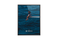 SZA SOS Spotify poster wall art print room decor