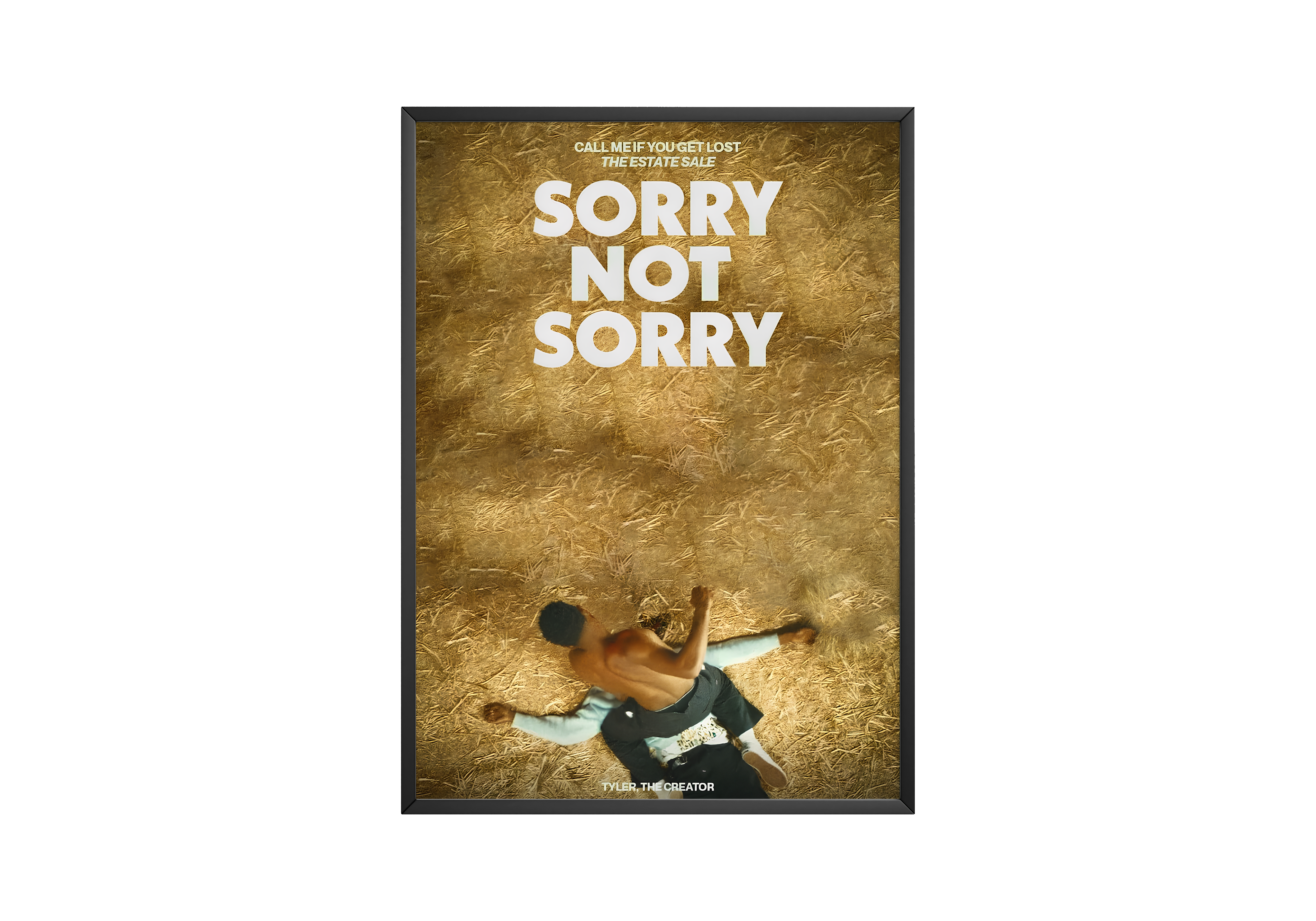 Tyler The Creator Sorry Not Sorry poster wall art print room decor