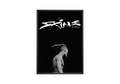 XXXTENTACION - Skins poster wall art print room decor
