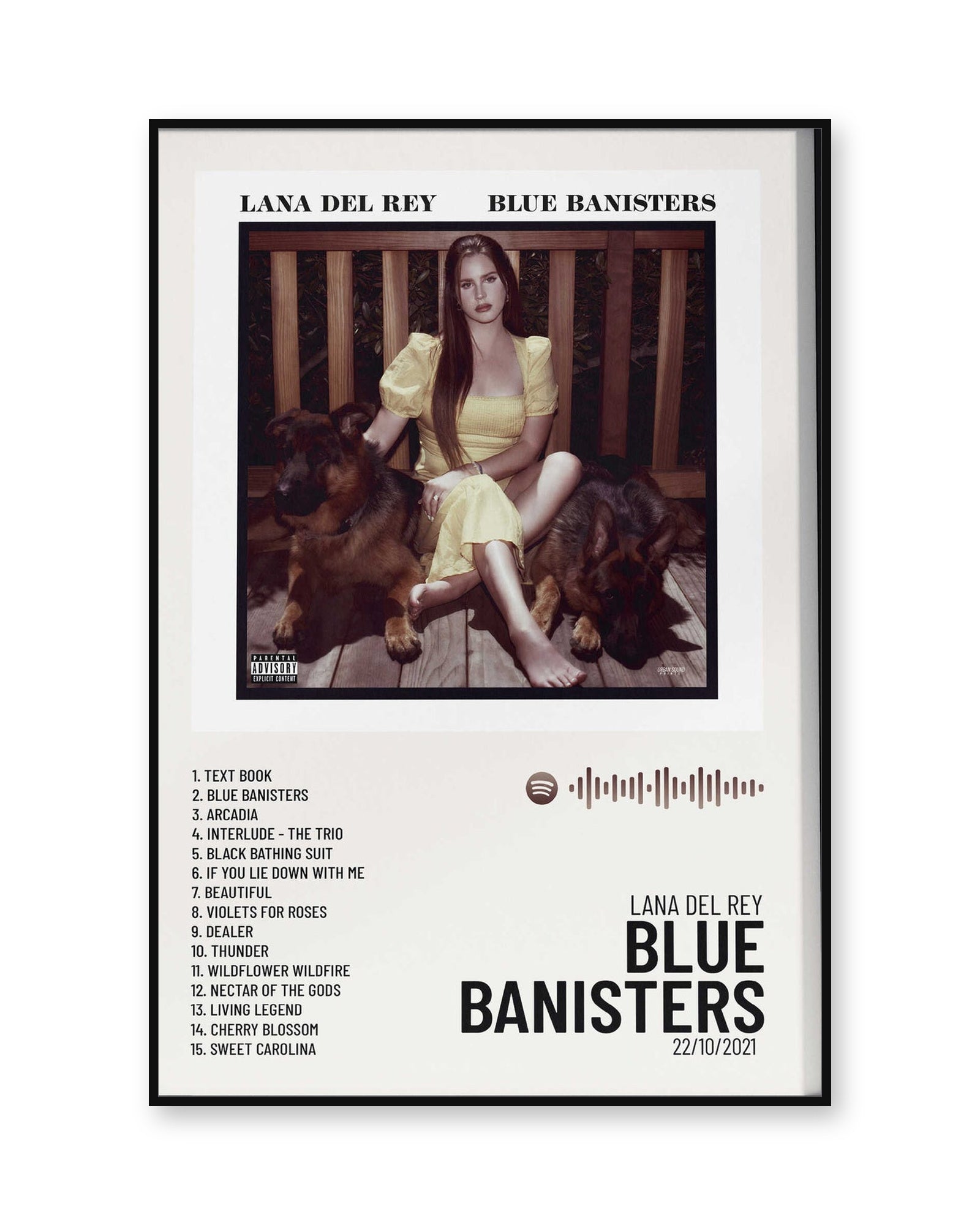 Lana Del Rey blue banisters poster product image 1