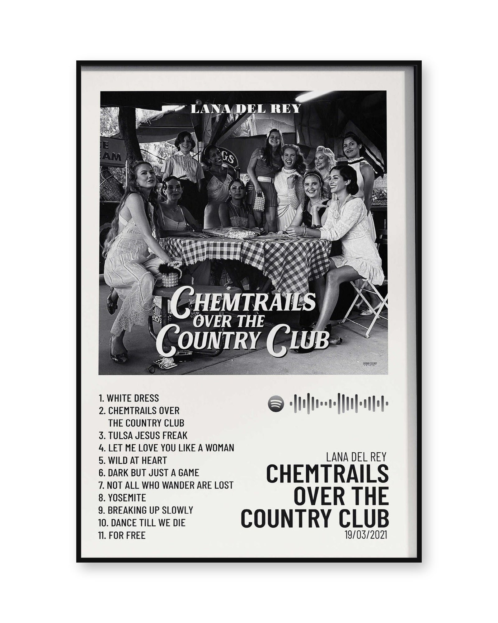 Lana Del Rey chemtrails poster product image 1